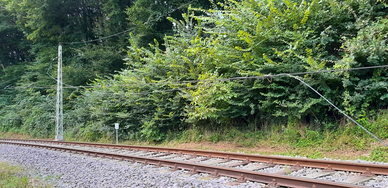 Unwetter Schäden Gleichenbergerbahn