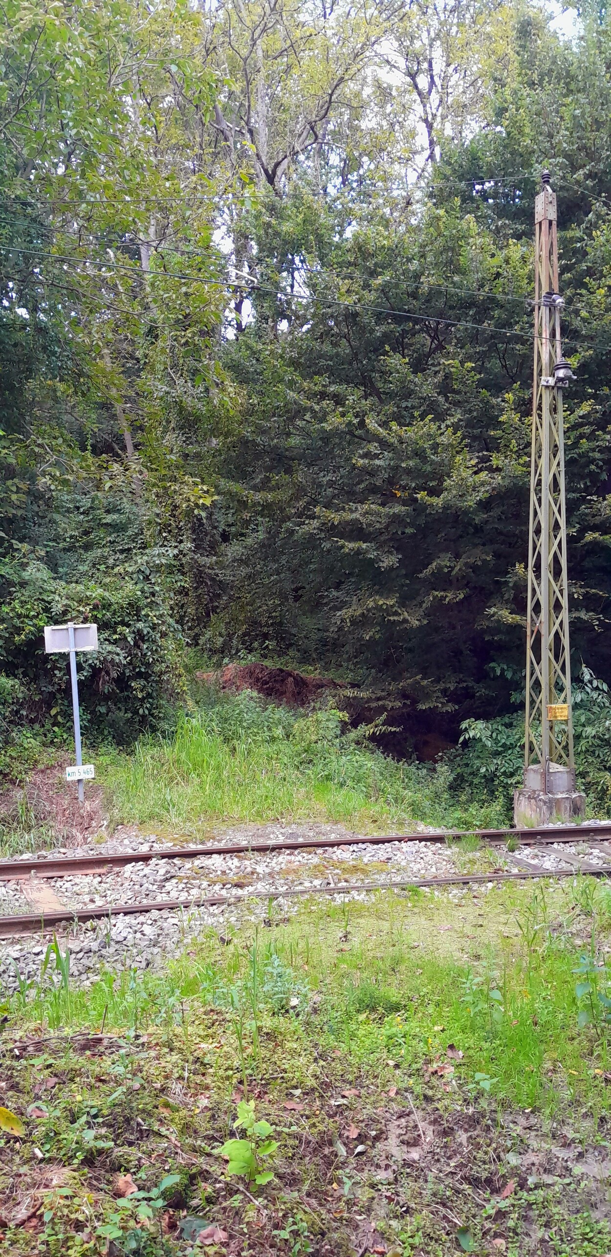 Unwetter Schäden Gleichenbergerbahn