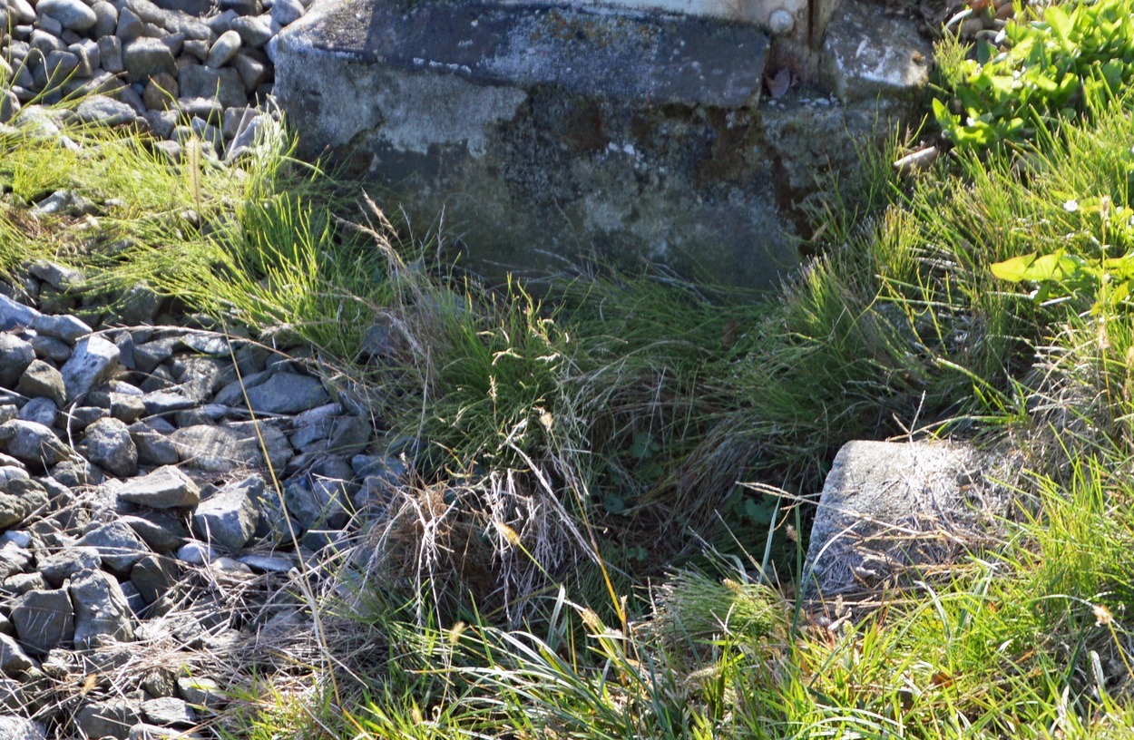 Wasserdurchsättigter Hang gefährdet den Bahndamm im Bereich Oedt. 