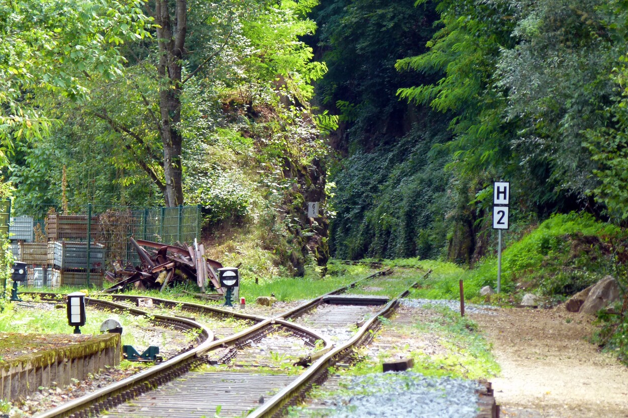 Wahlen in Salzburg: Blick auf die Ischlerbahn und den öffentlichen Verkehr - Spezial