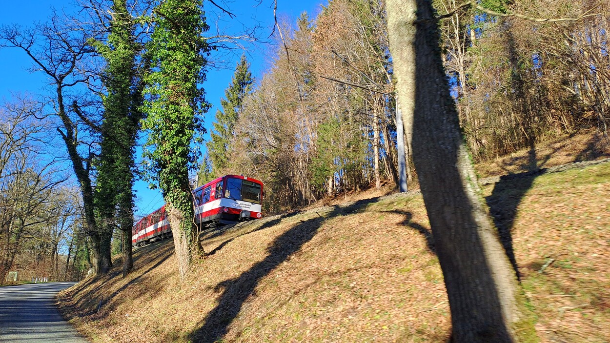 Salzburger Lokalbahn (SLB)