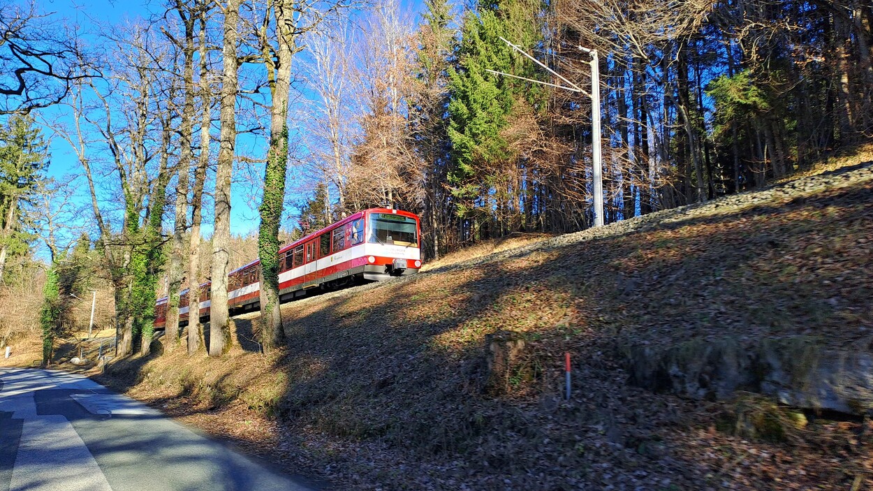 Salzburger Lokalbahn (SLB)