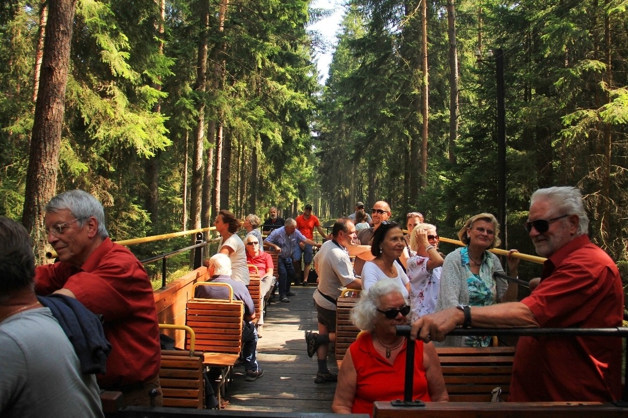 Cabrio-Fahrt mit dem Wackelstein-Express