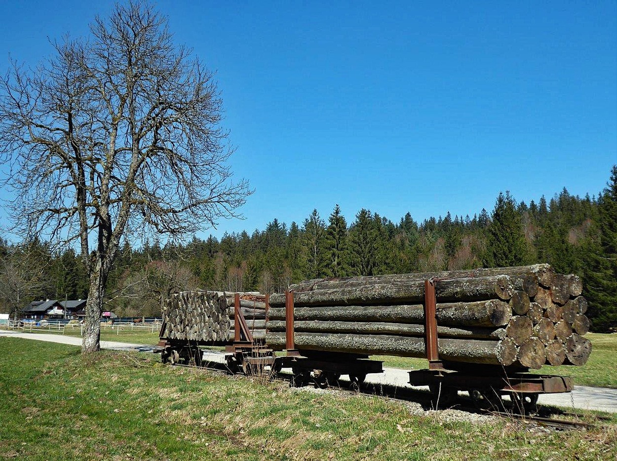 historische Waldbahnen Kobernaußerwald