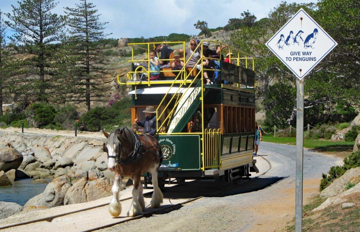 Pferdebahn in Victor Harbor Südaustralien