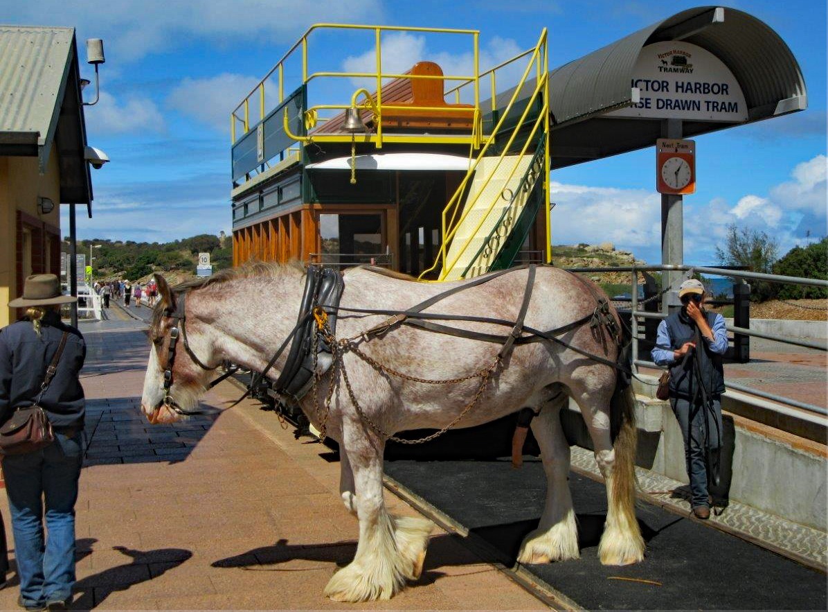 Pferdebahn in Victor Harbor Südaustralien