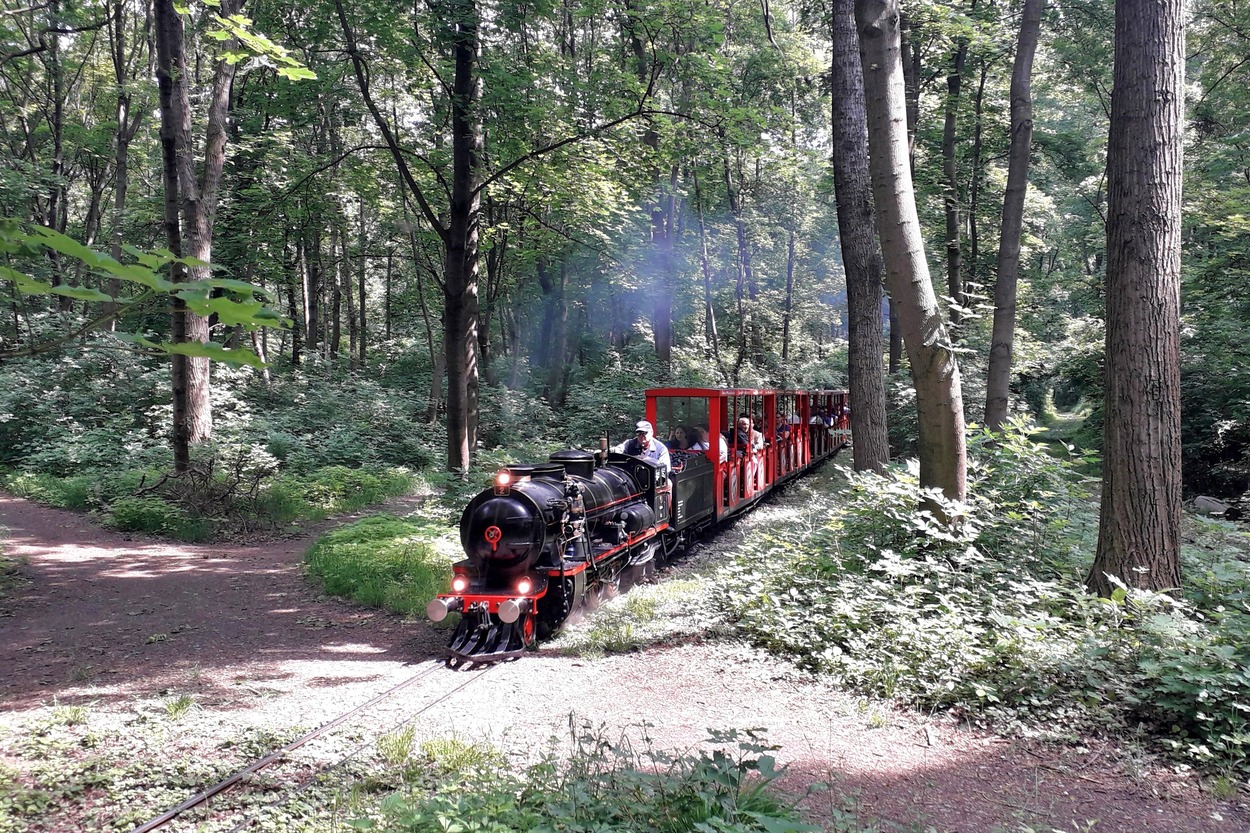 2019-05-19_at130_LBP_Da2_Bereich-Stadion_Liliputbahn_ÖMT