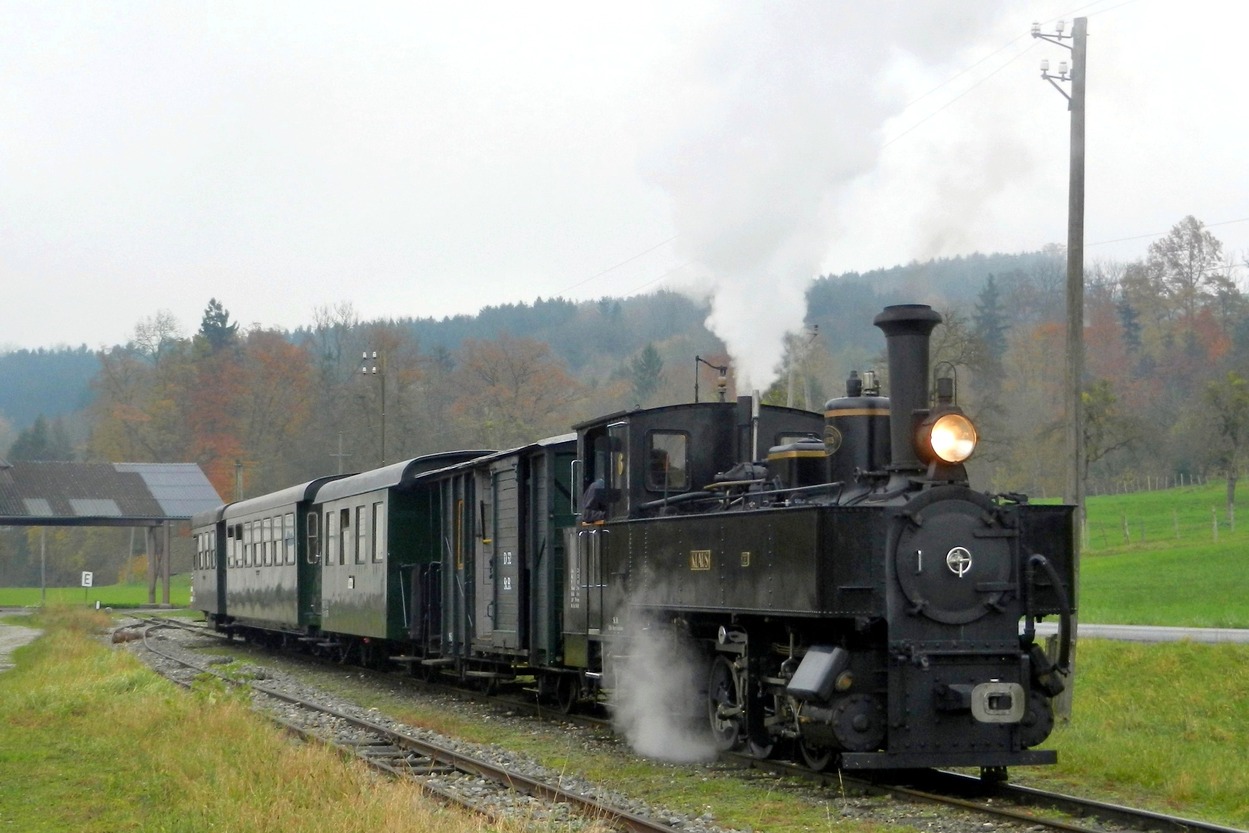 2014-11-08_at314_OeGEG-STB_Lok6_Steyrtalbahn_Sommerhubermuehle_ÖMT