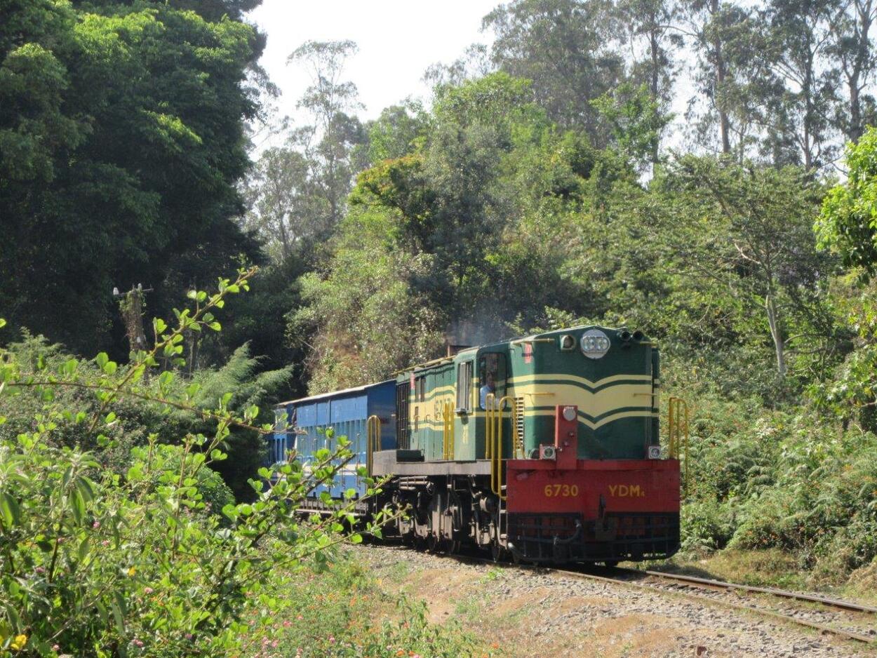 Nilgiri Mountain Railway, Flachstrecke
