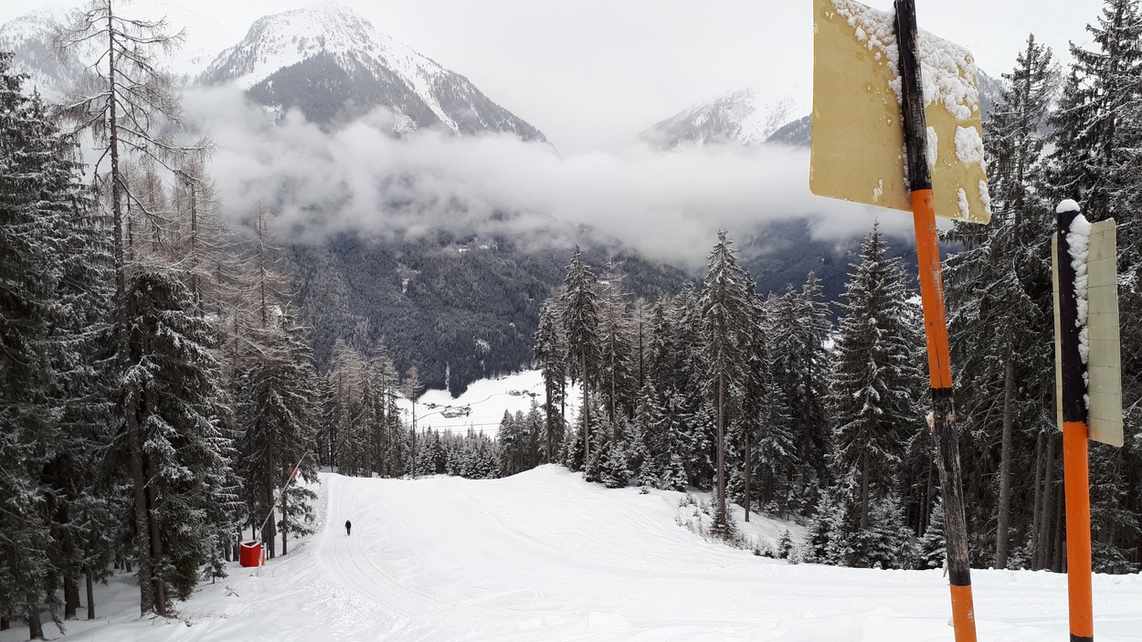 Rodeln auf dem Wildkogel