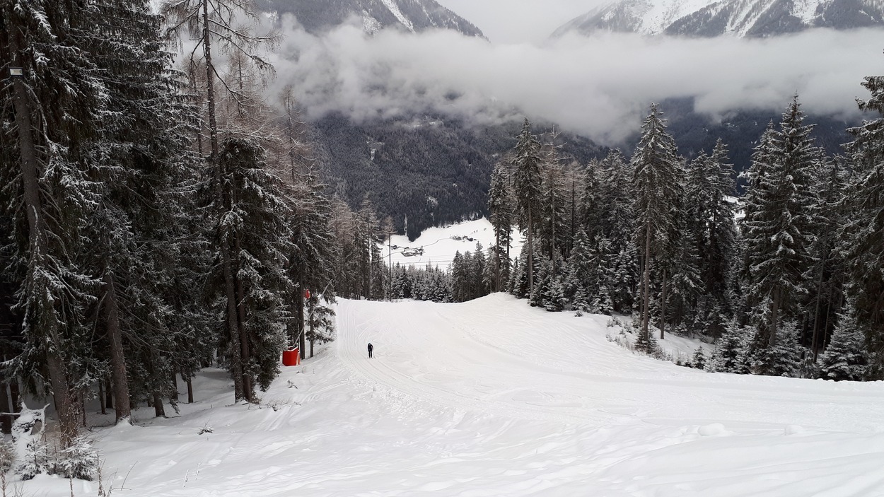Rodeln auf dem Wildkogel
