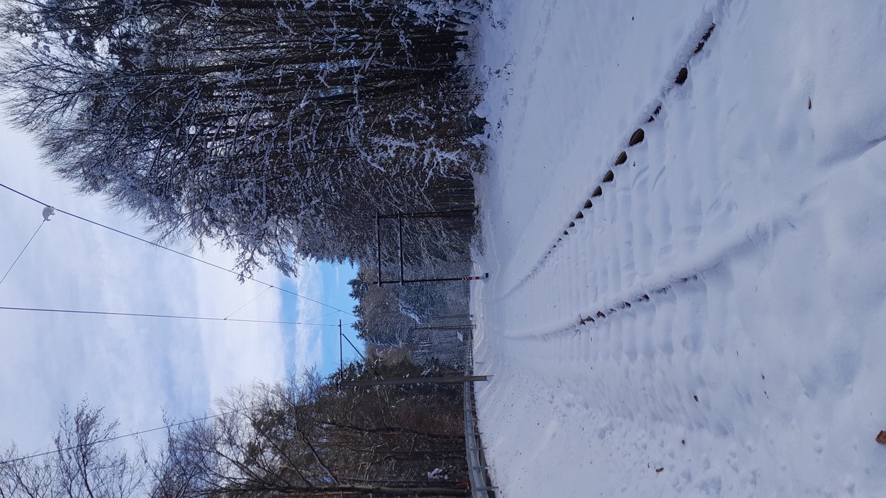 Gleichenberger Bahn im Winter 2021