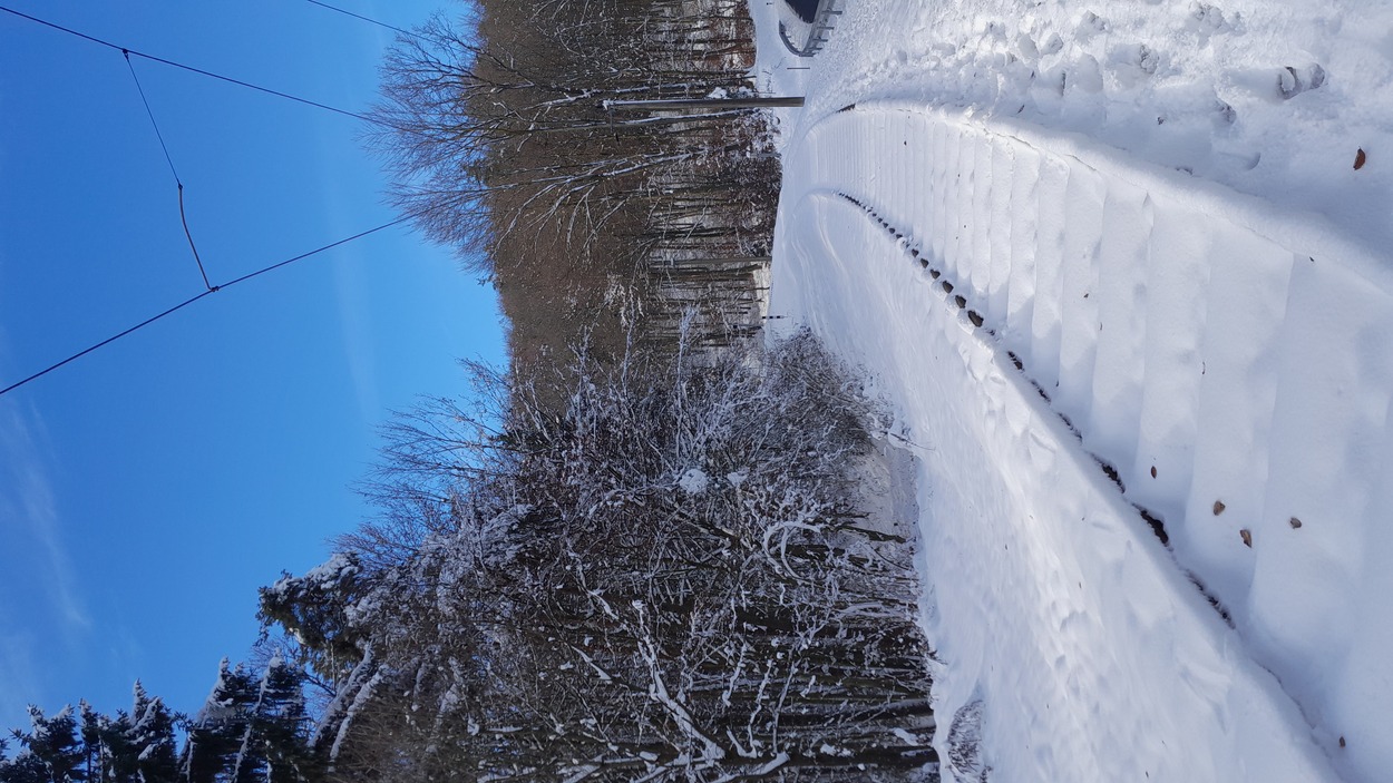 Gleichenberger Bahn im Winter 2021