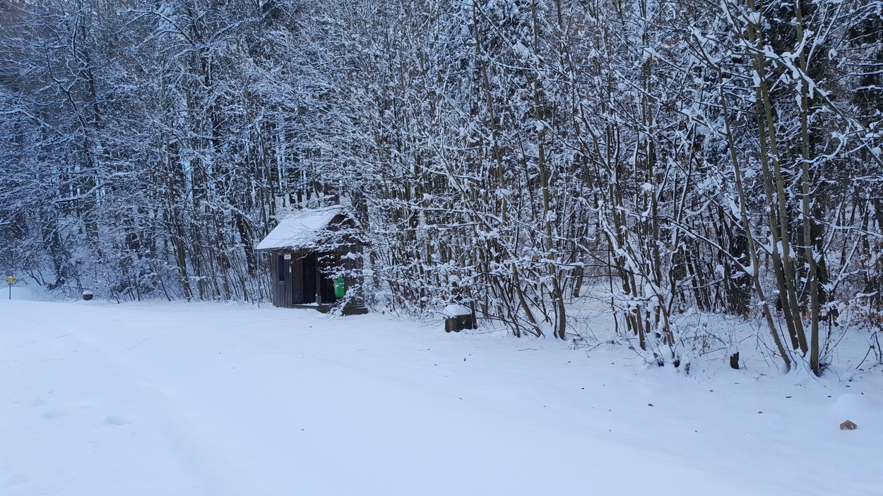 Gleichenberger Bahn im Winter 2021