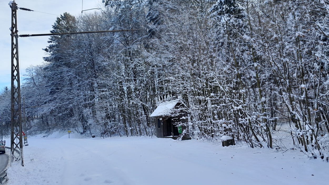 Gleichenberger Bahn im Winter 2021