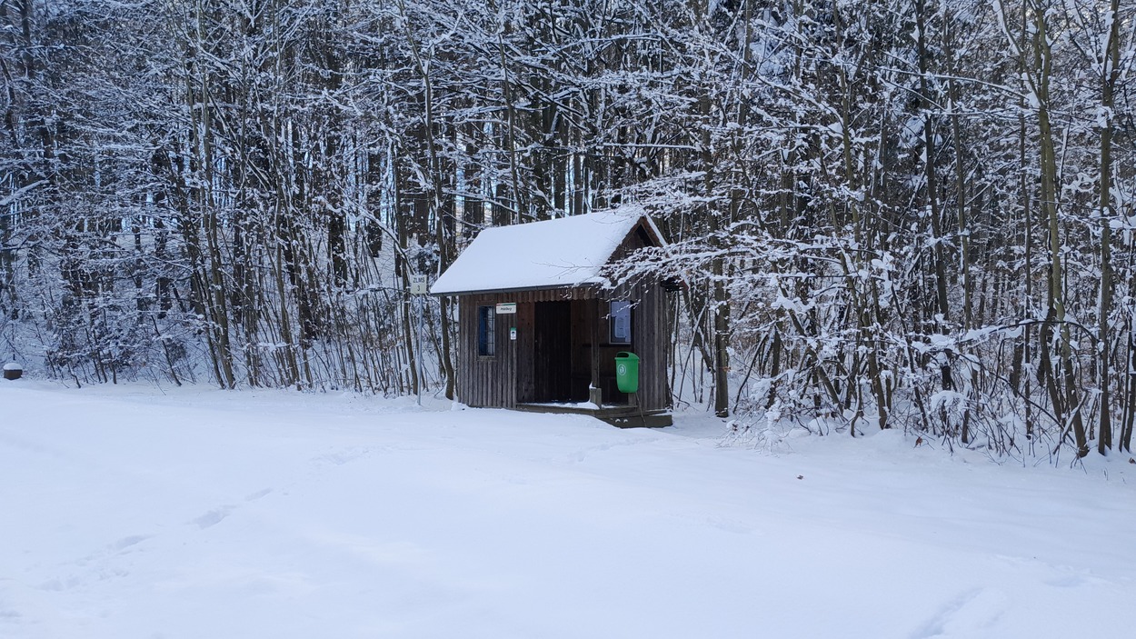 Gleichenberger Bahn im Winter 2021