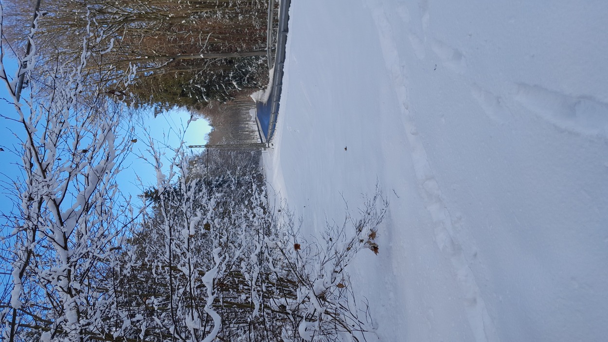 Gleichenberger Bahn im Winter 2021