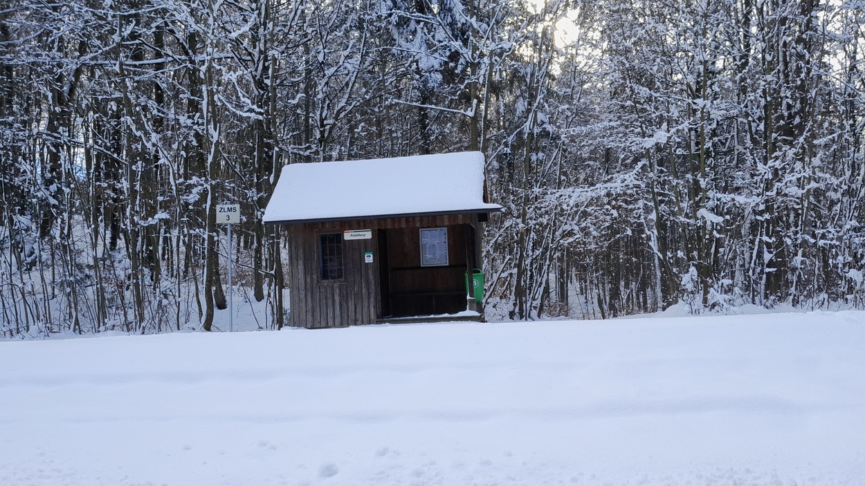 Gleichenberger Bahn im Winter 2021